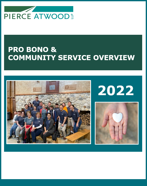 2022 pro bono report cover