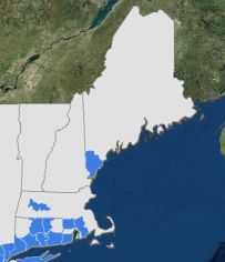 New England map